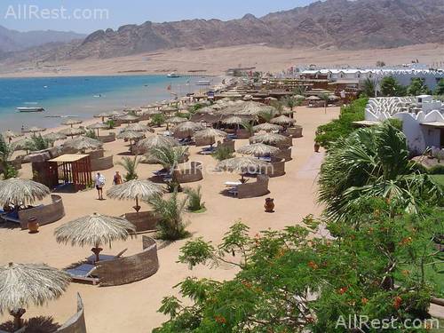 Swiss Inn Golden Beach 12